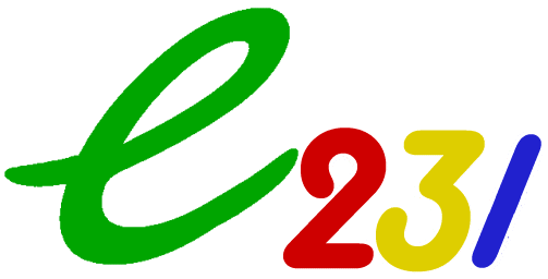 e231 Logo